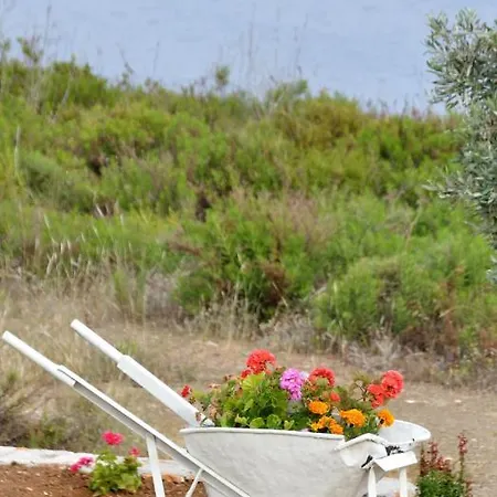 Vilă Oceanis - Luxury Seaside