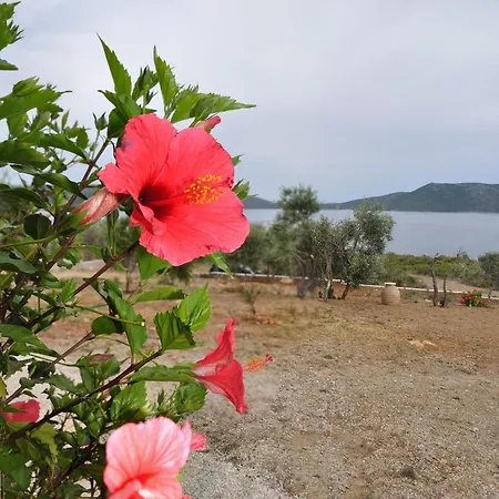 Oceanis - Luxury Seaside Villa